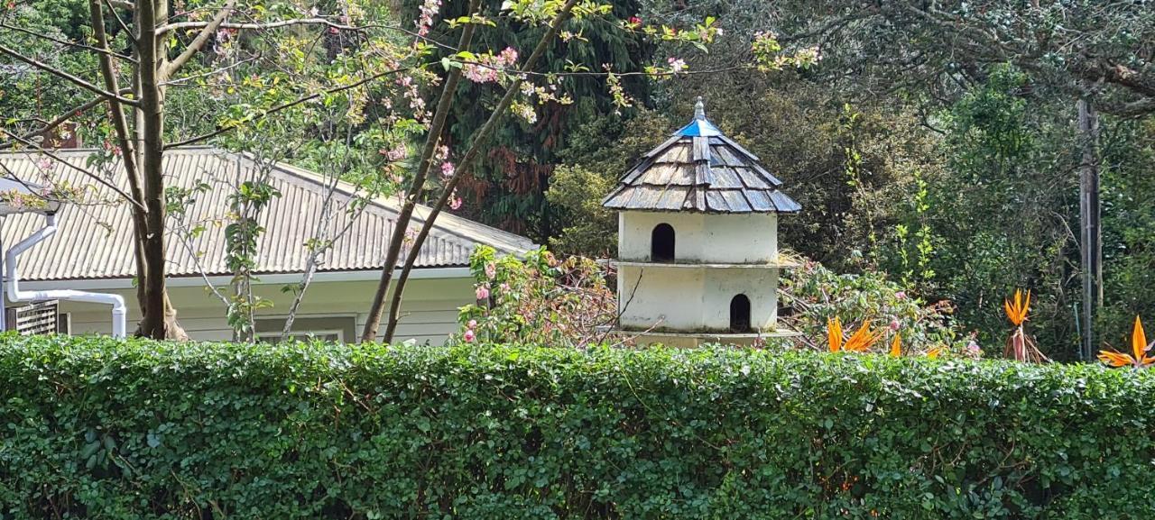 奥克兰Dovecote House住宿加早餐旅馆 外观 照片